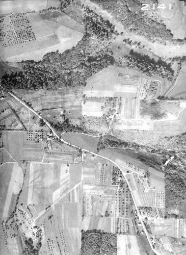 1936 Aerial Image - Ross Township - Reis Run Road