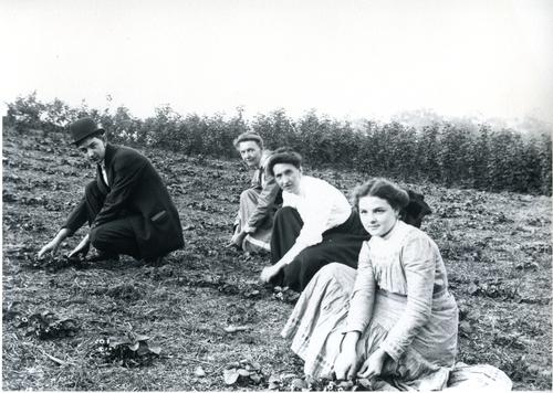 Denny Family Planting Strawberries