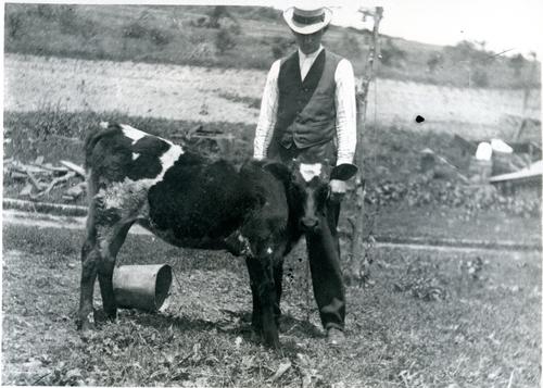 Herman Denny with Cow