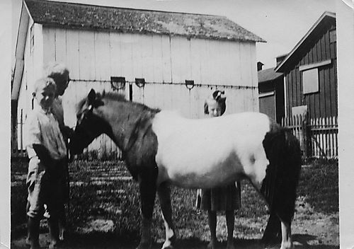 The Gifillan children with a pony