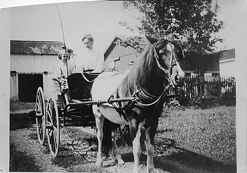 Margaret Gilfillan driving a horse-drawn carriage