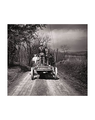 Cart and Horses