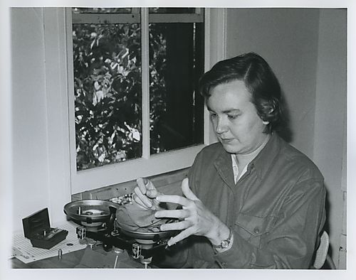 Dr. Mary A. Heimerdinger 