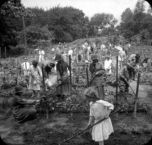 School Gardens as a Practical Educational Method