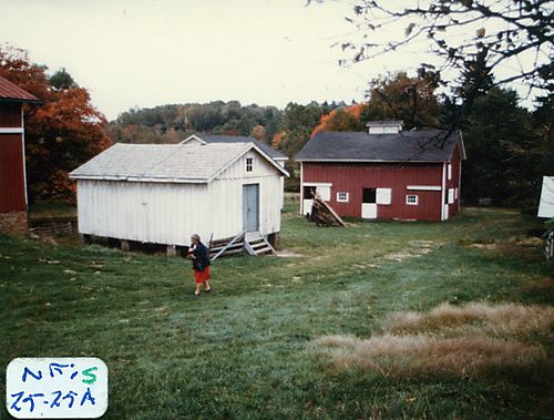 Buildings on the Gilfillan farm