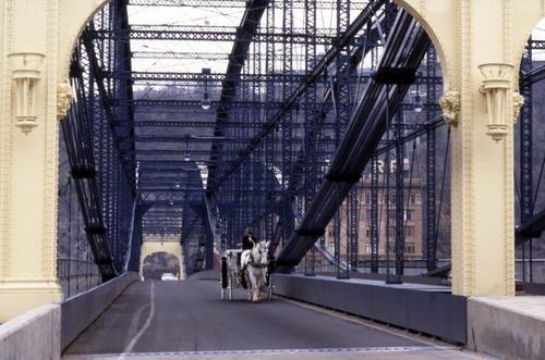 Horse-Drawn Carriage