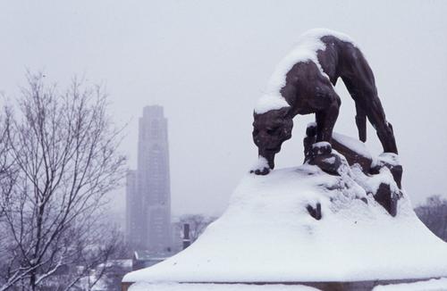 Panther Statue in Schenley Park