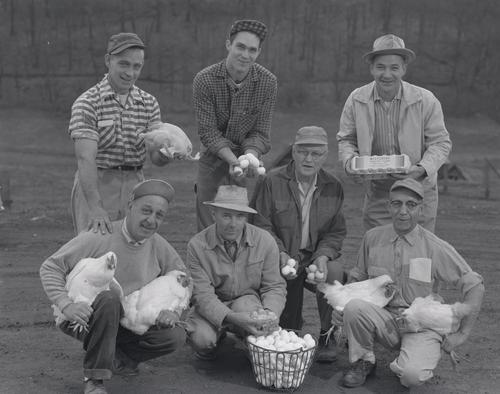 Group of men posing with chickens and eggs a the Wiltshire Poultry Farm