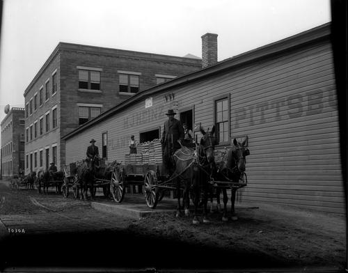 Wagons carrying crates of tomatoes at Heinz's Holland Branch