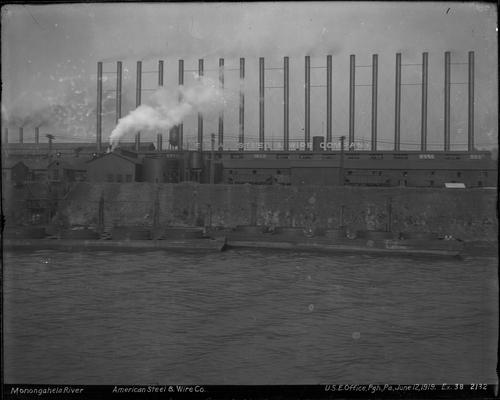 American Steel and Wire Company