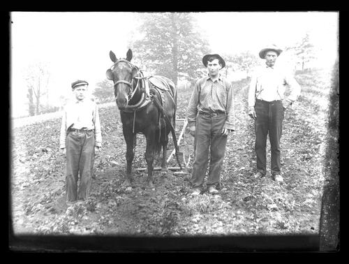 Field Work