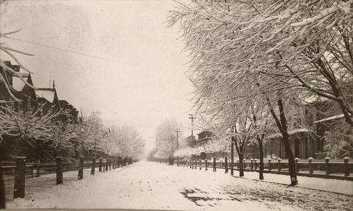 Main Street Wonderland