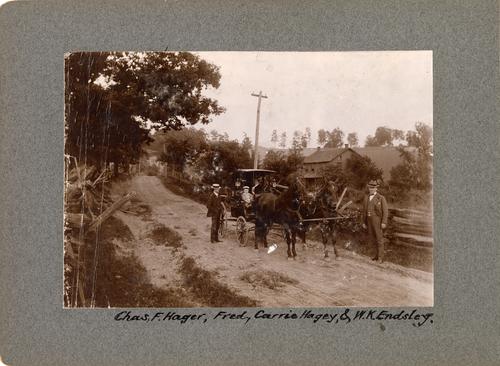 Horse-Drawn Carriage on the Street