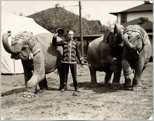 Rodeo at Kennywood (7)