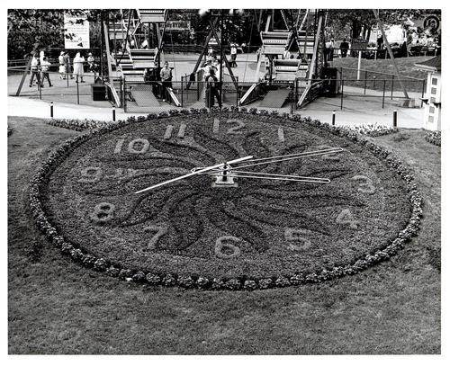 Floral clock (1)