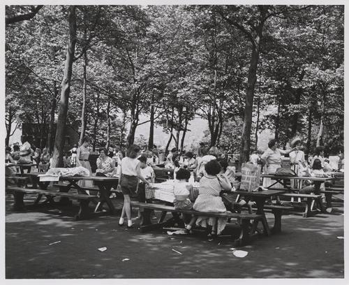 Picnic groves (3)