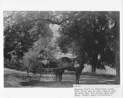 Frances Craft with Horse and Buggy