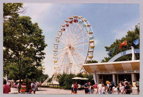Wonder Wheel (6)