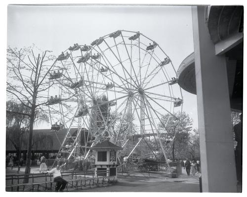Double Ferris Wheel (2)