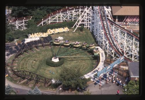 Turtle (Tumble Bug) (6)