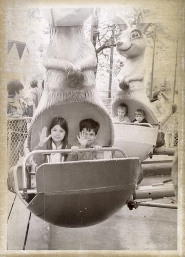 Miniature kangaroo (1)