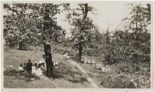 Picnic groves (16)