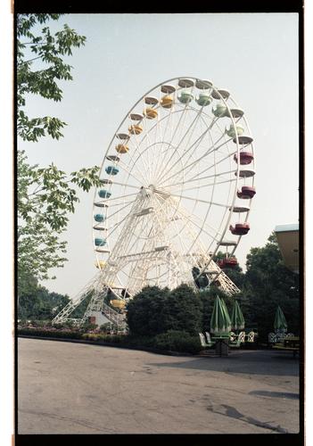 Wonder Wheel (11)