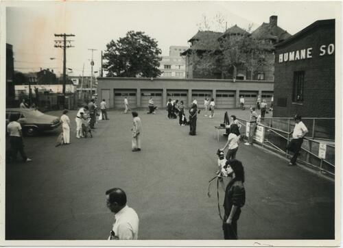 Obedience Training Class (2)