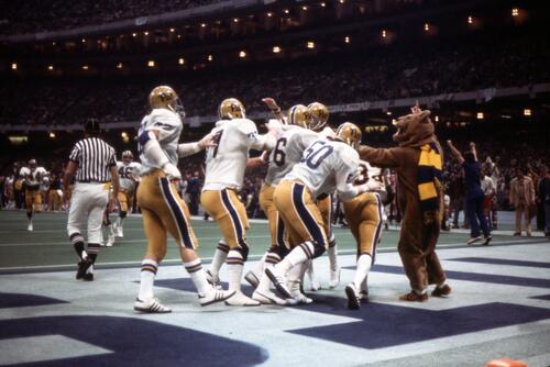 Panthers Celebrate a Touchdown