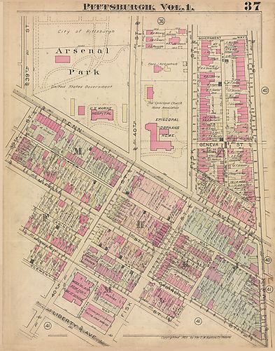 Lower Lawrenceville, Bloomfield