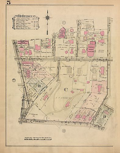 Shadyside, Squirrel Hill North