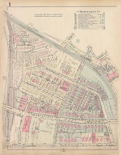 Bloomfield