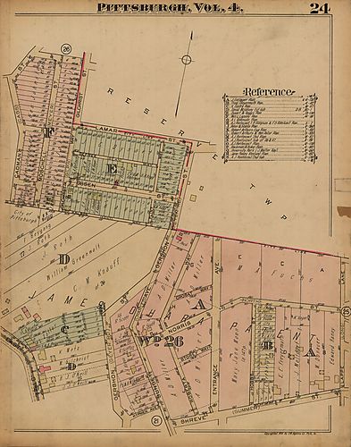 Spring Hill-City View