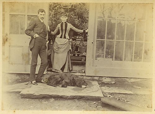 The Conservatory
