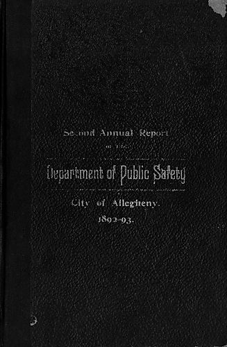 Annual report of the Dapartment of Public Safety
