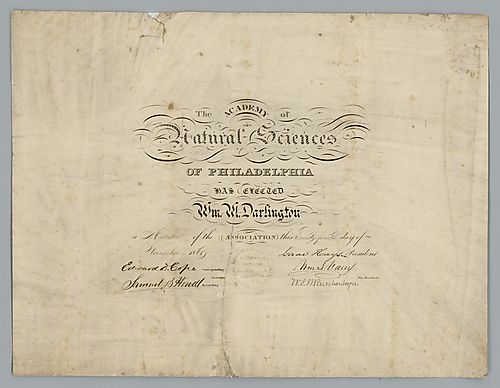 William Darlington, Certificate of Acceptance to the Academy of Natural Sciences