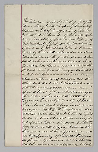 Mary Darlington, Deed