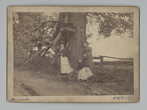 Mary Carson (Minnie), Edith Darlington, and Lillia