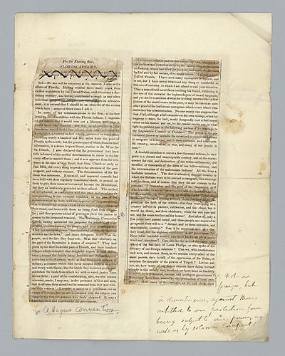 Review of "Florida Affairs"