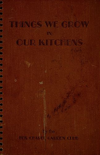 Things we grow in our kitchens
