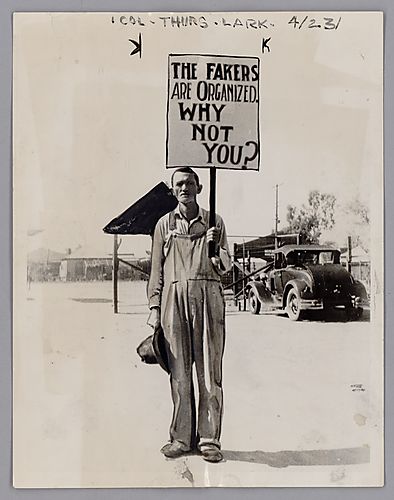 A "Comrade" During the Arizona Disorders