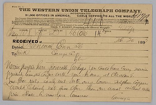 Carnegie writes from New York [N.Y.] on his visit with people from Norrie
