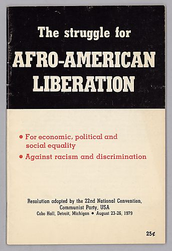 The Struggle for Afro-American Liberation