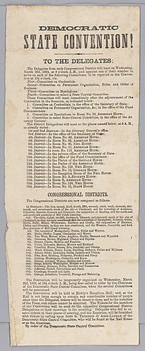 "Democratic State Convention"