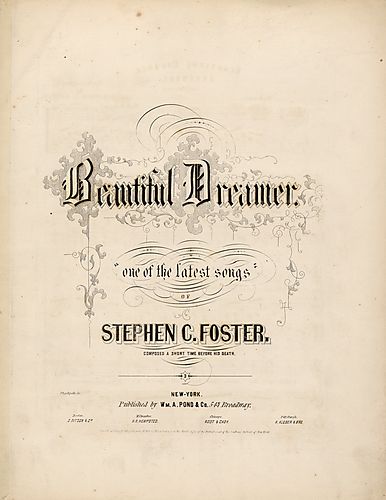 Beautiful dreamer