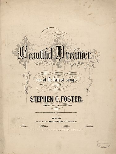 Beautiful dreamer