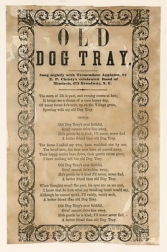 Old dog tray. Text Text