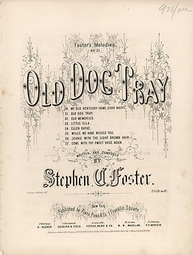 Old dog Tray
