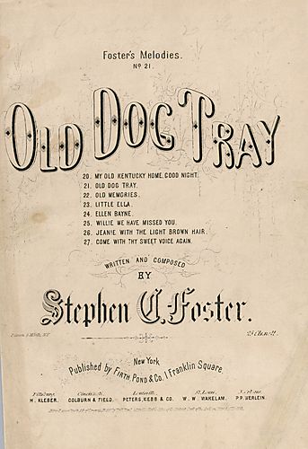 Old dog Tray