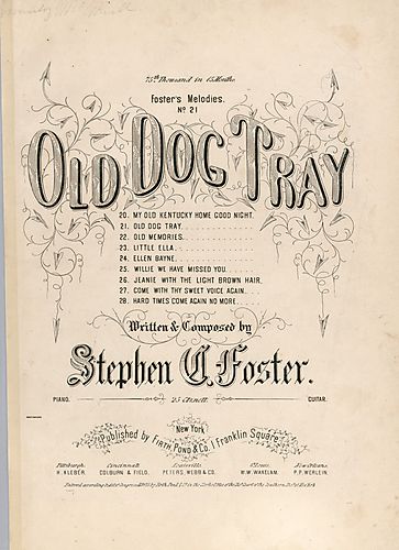 Old dog Tray